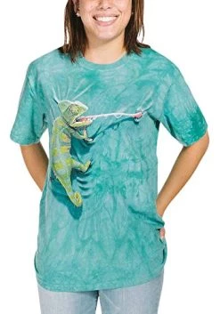 The Mountain Climbing Chameleon