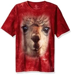 The Mountain Big Face Alpaca