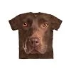 The Mountain Girls' Little Kids Chocolate Lab Face 1 The Mountain Girls' Little Kids Chocolate Lab Face -Clothing Store 41aF32tyJGL