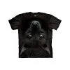 The Mountain Men's Bat Head T-Shirt -Clothing Store 41apR7Ti5CL