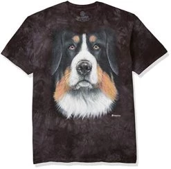 The Mountain Men's Bernese Dog