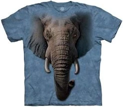 The Mountain Elephant Face 17 The Mountain Elephant Face -Clothing Store 41r2spr l6L. AC