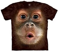 Default -Clothing Store 41ykkBfHiL. AC