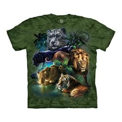 The Mountain Big Jungle Cats