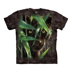 The Mountain Wild Eyes