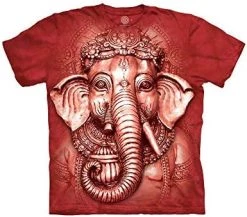 The Mountain Kids Mymountain Big Face Ganesh Apparel-Candy Apple Red -Clothing Store 51d3pSbzT7L. AC