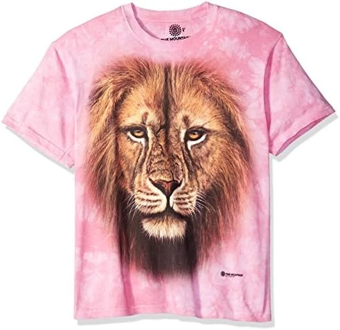 The Mountain Lion Warrior 6 The Mountain Lion Warrior - Image 4