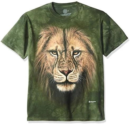 The Mountain Lion Warrior 10 The Mountain Lion Warrior - Image 8